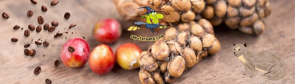 manfaat kopi luwak