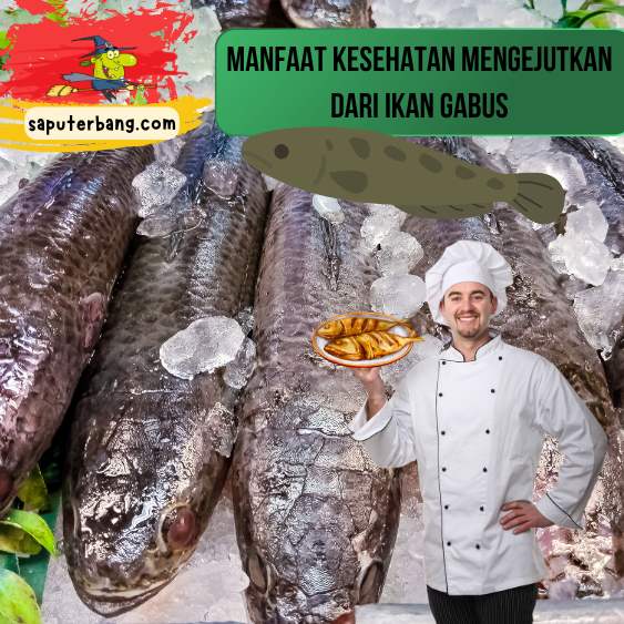 ikan gabus