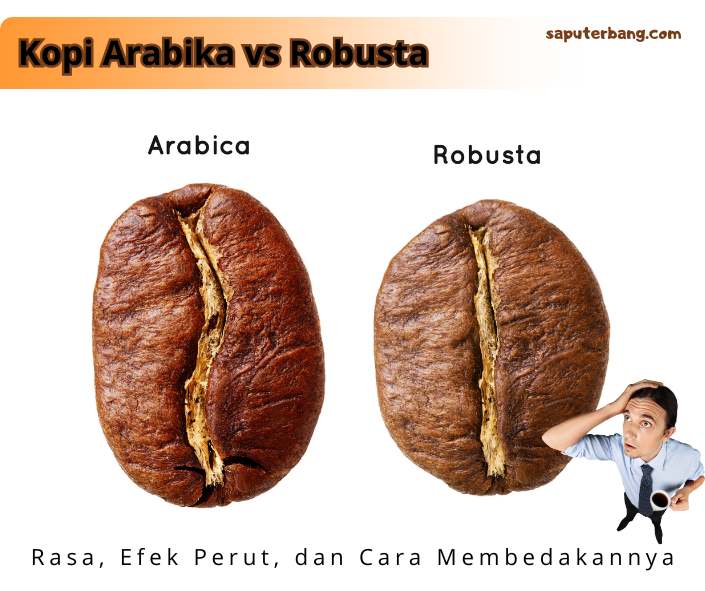 kopi arabika