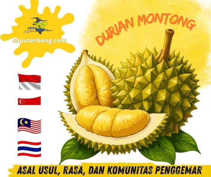 durian montong