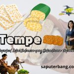 tempe