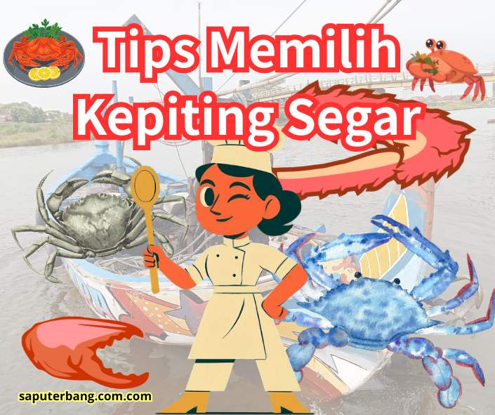 memilih kepiting segar