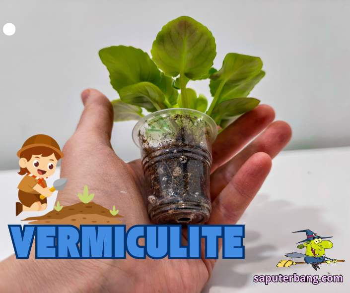 vermiculite